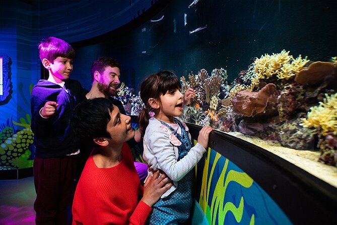 SEA LIFE London Aquarium Admission Ticket - Admission Details and Policies