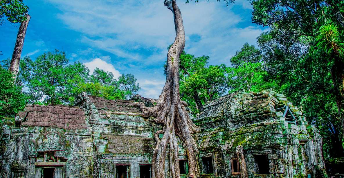 Seat-In-Coach: Small Circuit Tour With Sunrise at Angkor Wat - Tips for Your Tour