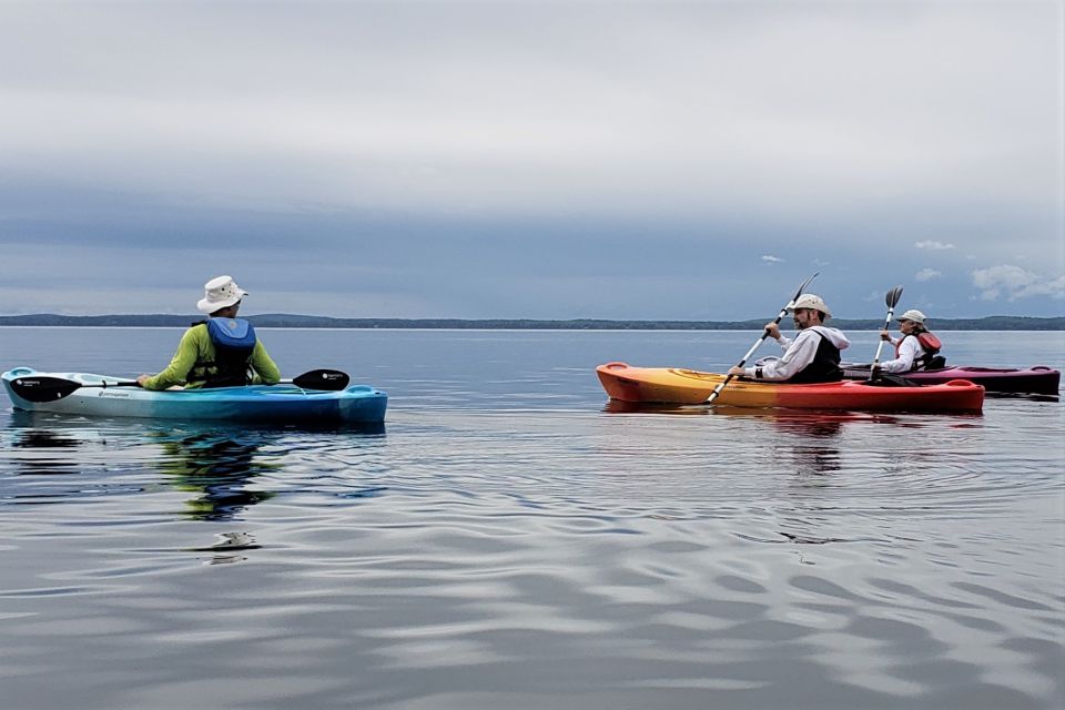 Sebago Lake: Half-Day Kayak Rental - Spot Wildlife Sightings