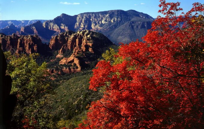 Sedona: 2-Hour Highlights Jeep Tour - Important Notes