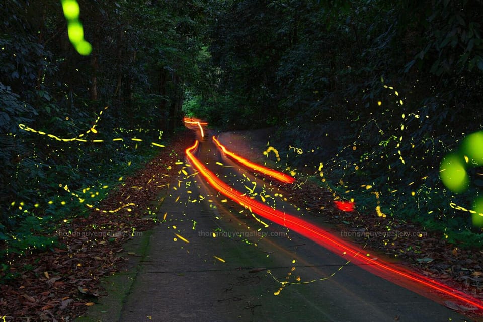 See Fireflies & Wild Animals in Cuc Phuong National Park - Wildlife Spotting Opportunities