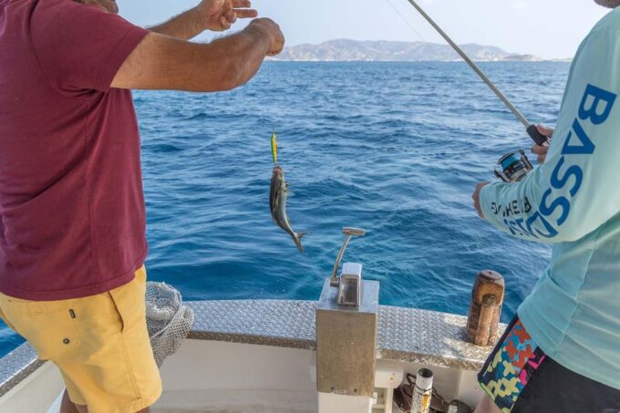Semi Private Cruise – Morning Cruise Pollonia Polyaigos - Included Amenities