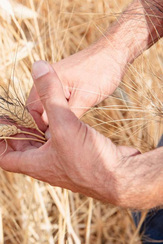 Sensory Walk With Lunch in the Caltagirone Countryside - Booking and Cancellation Policy