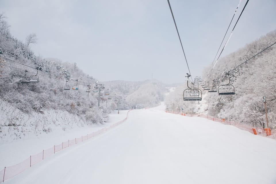 Seoul: Elysian Ski Resort & Eobi Ice Valley - Meeting Points and Bookings