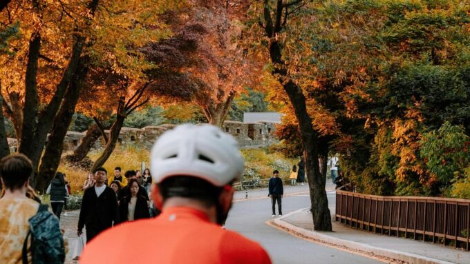 Seoul: Han River Urban Nature Bike Tour - Starting Point and Accessibility