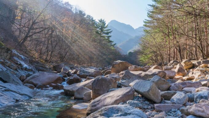 Seoul: Mt. Seorak National Park Autumn Foliage One Day Tour - Inclusions and Pricing