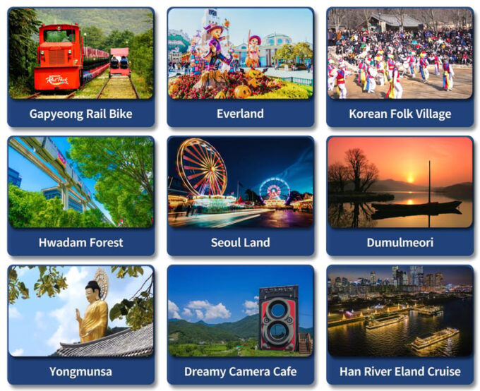 Seoul Subrub: 9HR Car Charter Tour - Additional Services and Costs