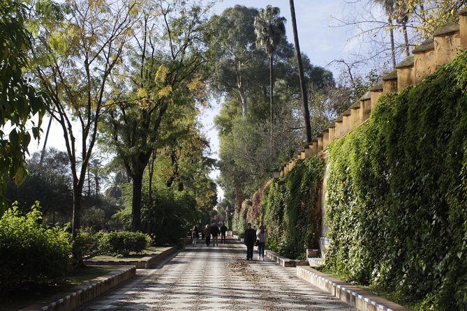 Seville Highlights: Private Family Guided Tour - Customer Feedback and Pricing