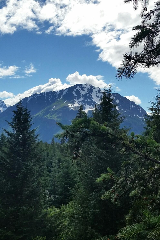 Seward: Stoney Creek Canopy Tour With Zipline - Nearby Attractions