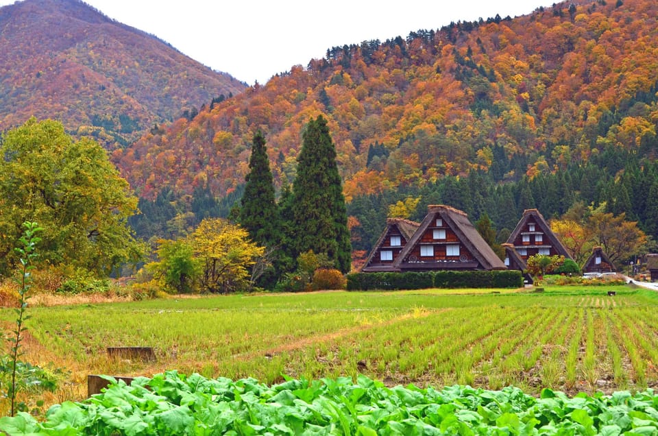 Shirakawago & Gokayama Ainokura Tour-World Heritage Village - Booking Details