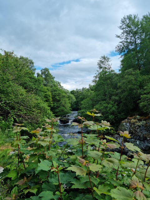 Shore Excursion From Invergordon - Castles, Scenery & Whisky - Customer Feedback