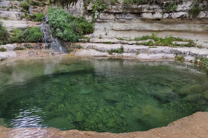 Sicilian Natural Parks, Trekking Eco Tour From the Sea to the Mountains - Tour Inclusions and Logistics