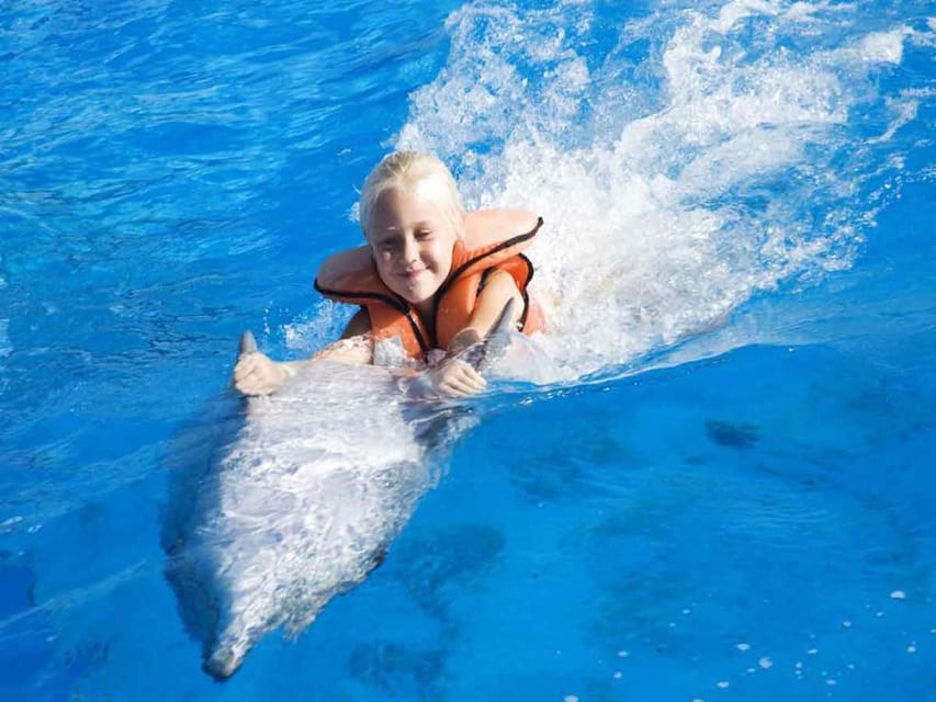 Side/Alanya: Swimming With Dolphins - What to Bring