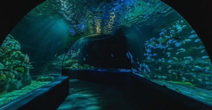 Siem Reab: Angkor Wildlife & Aquarium - Inclusions of the Package