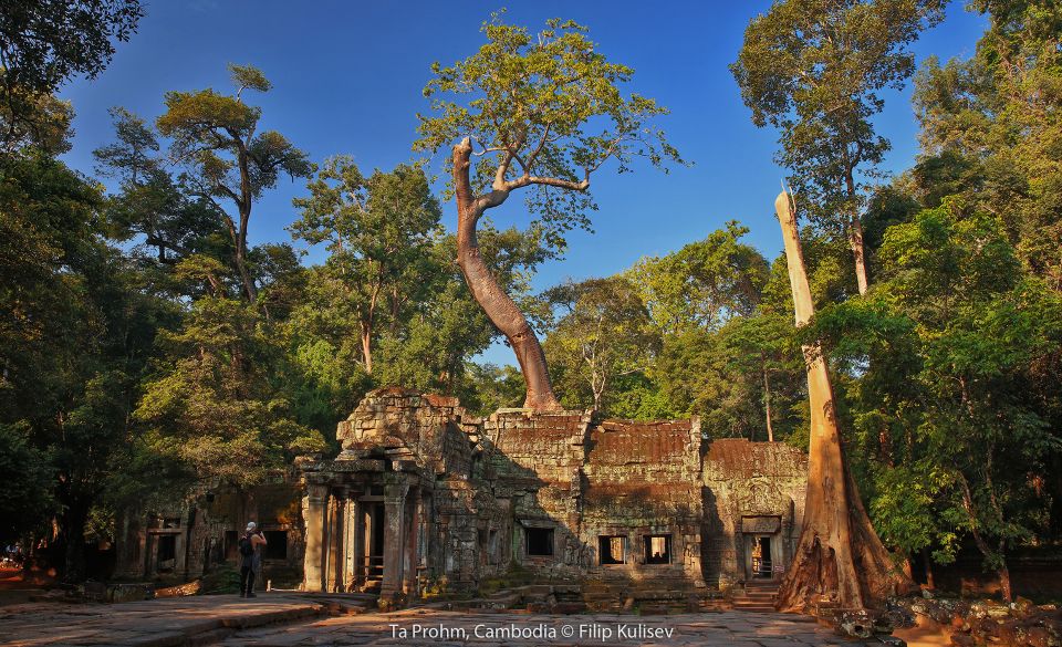 Siem Reap: Angkor Wat 5-Day Sightseeing Tour - Important Information