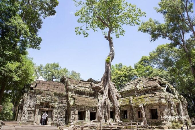 Siem Reap: Angkor Wat Sharing Tour - Frequently Asked Questions