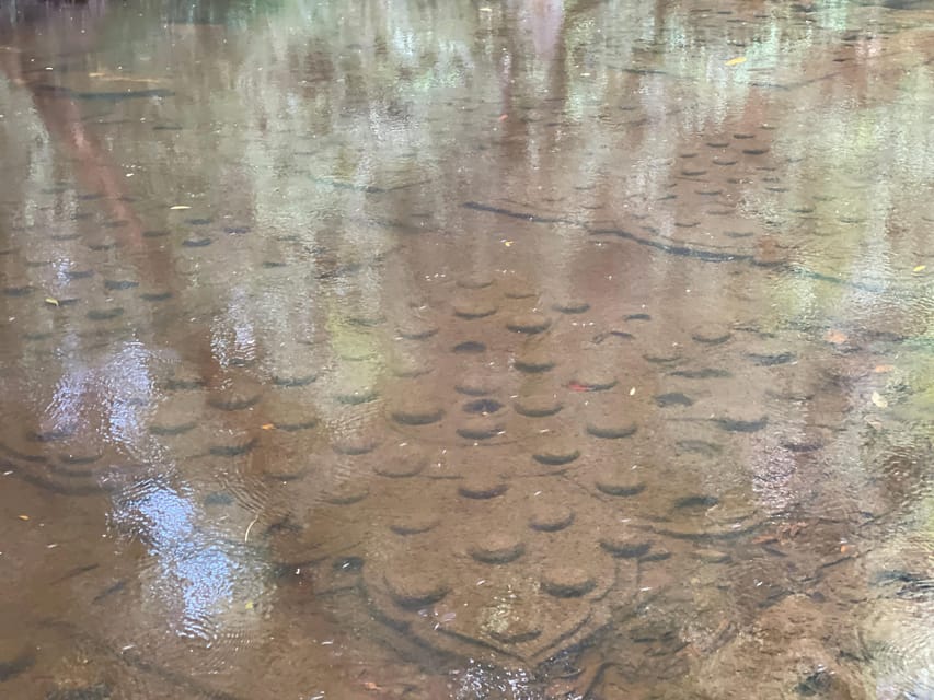 Siem Reap: Beng Mealea and Phnom Kulen Waterfall Tour - Unique Features of the Tour