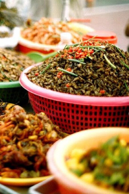 Siem Reap : Evening Street Food Tours Tasting New Food - Inclusions and Amenities