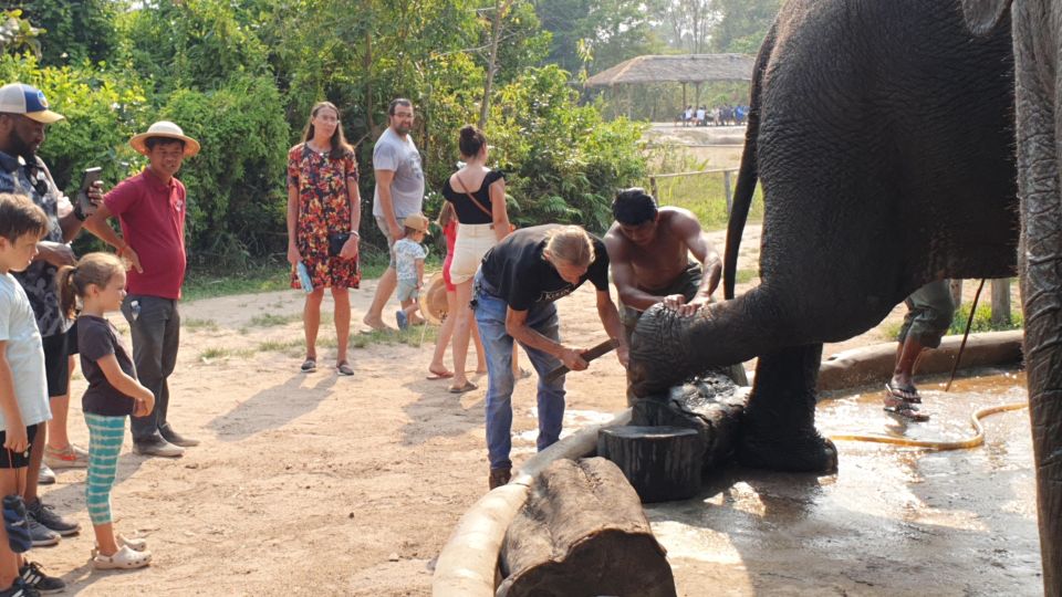 Siem Reap: Small Group Tour of Kulen Elephant Forest - Included Amenities