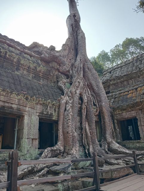 Siem Reap: Visit Angkor With a Portuguese-Speaking Guide - Customer Feedback