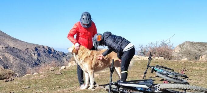 Sierra Nevada Small Group E-Bike Tour - Tour Duration
