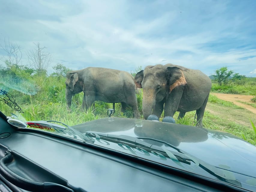 Sigiriya: Minneriya Wild Jeep Safari With Free Hotel Pickup - Scenic Journey