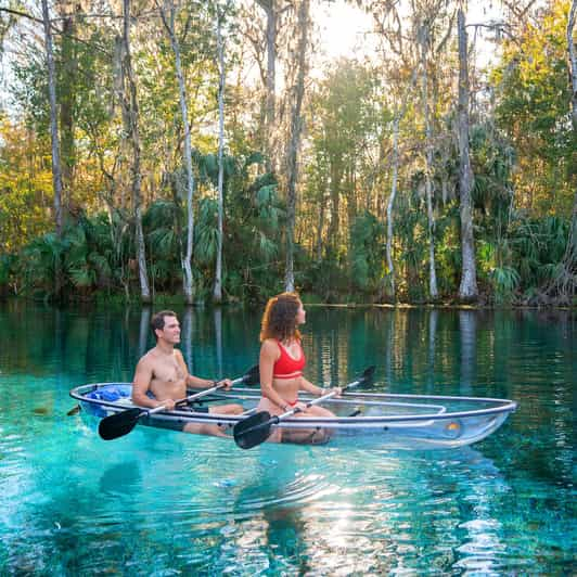 Silver Springs: Clear Kayak Wildlife Tour - Guided Tour Details