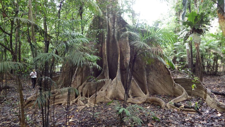 Since Leticia: Old-Growth Forest Trek N Boat 3 Days/2 Nights - Cultural Experiences in Tikuna