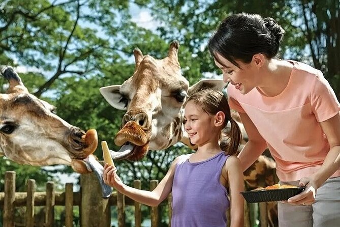Singapore Zoo Entry Ticket - Reviews and Ratings