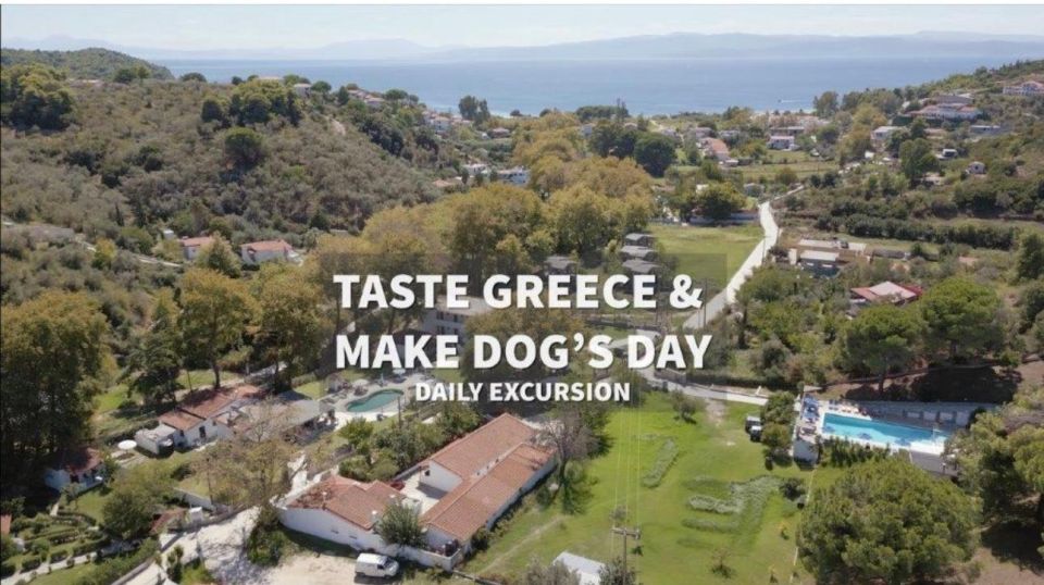 Skiathos: Dog Shelter Visit, Hike & Cooking Class With Lunch - Cooking Class and Lunch