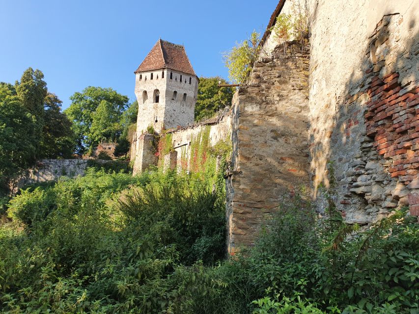 Small Group 2 Days in Transylvania - Overnight Sighisoara - Important Travel Information