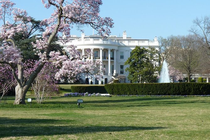 Small Group Tour of DC With Reserved National Archives Entry - Tips for a Successful Tour