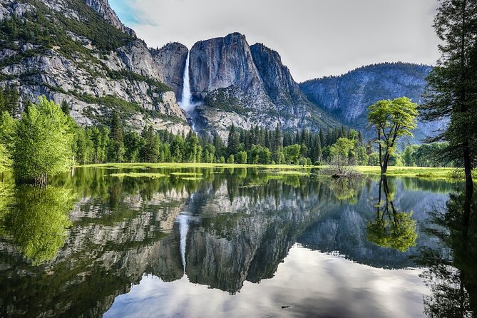 Small-Group Yosemite Day Tour From San Francisco - Accessibility Information