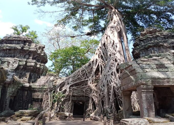Small Tour in Angkor Archaeological Park - Booking and Cancellation Policy