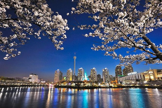 Smallgroup 7day Korea Package Tour With Seoul Gyeongju Busan Jeju - Accommodation Details