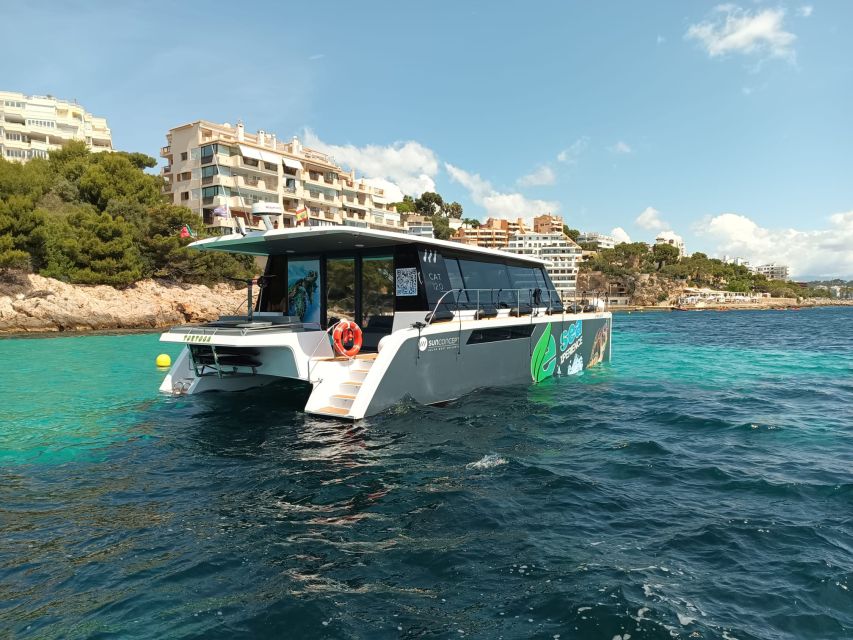 Snorkeling Experience Onboard of E-Catamaran at Palma Bay - Booking and Pricing