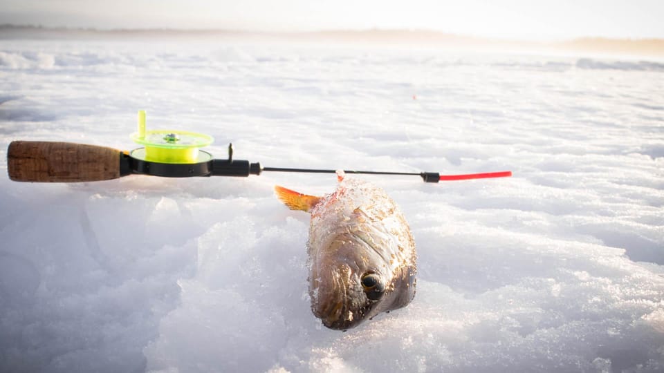 Snowmobile Safari With Ice Fishing Experience - Booking and Cancellation Policy