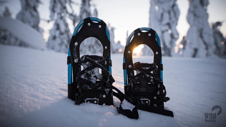 Snowshoeing in the Arctic Wilderness - Customer Feedback and Ratings