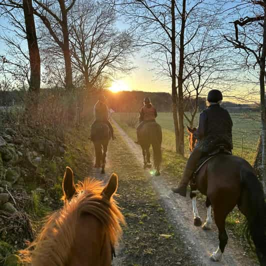 Söderåsen National Park: Horseback Riding Vacation 4 Nights - Preparing for Your Trip