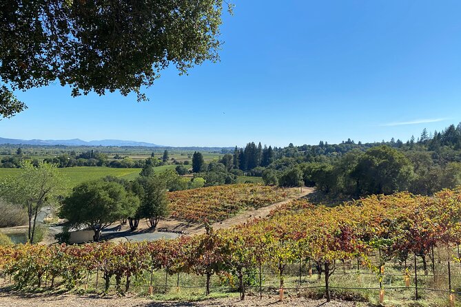 Sonoma Wine Rides: Sonoma County Join-In Group Wine Tasting Tours - Accessibility and Participation