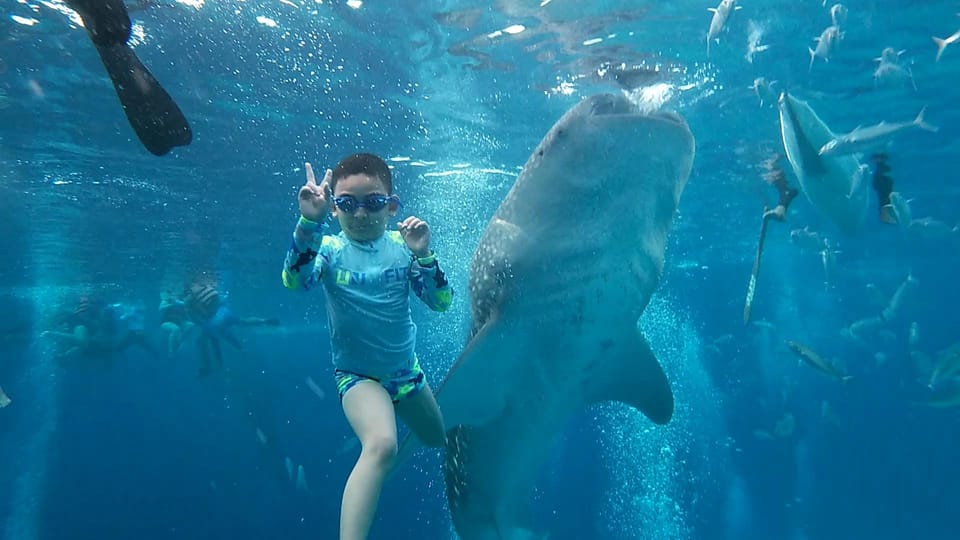 South Cebu:Oslob Whale Sharks & Inambakan Falls Journey - Included Amenities