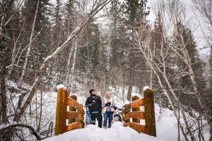 Spearfish Canyon Lodge - Nearby Attractions