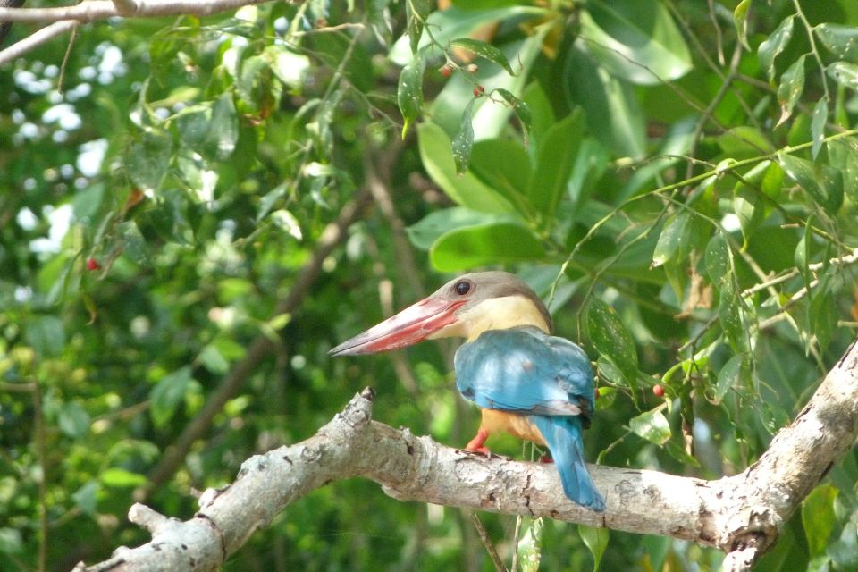 Sri Lanka Bentota: Mangrove Lagoon and River Cruise - Meeting Point and Transportation