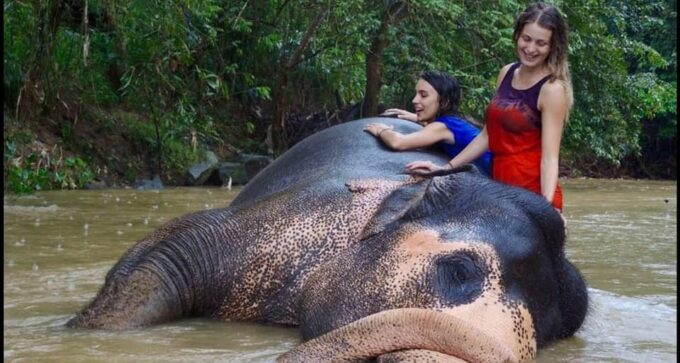 Sri Lanka: Explore the Wonders in 6 Days - Getting to Colombo