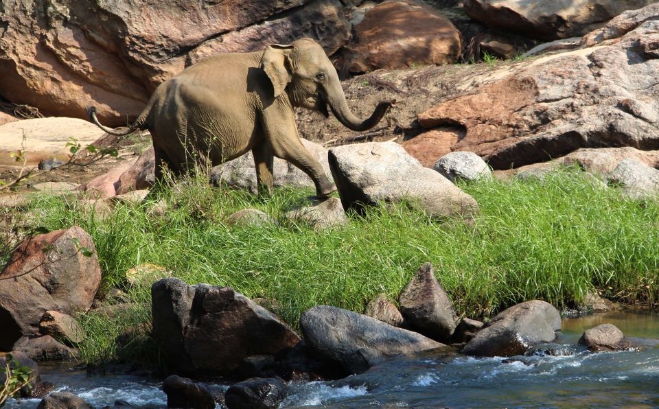 Sri Lanka: Gal Oya National Park Overnight Tour - Frequently Asked Questions