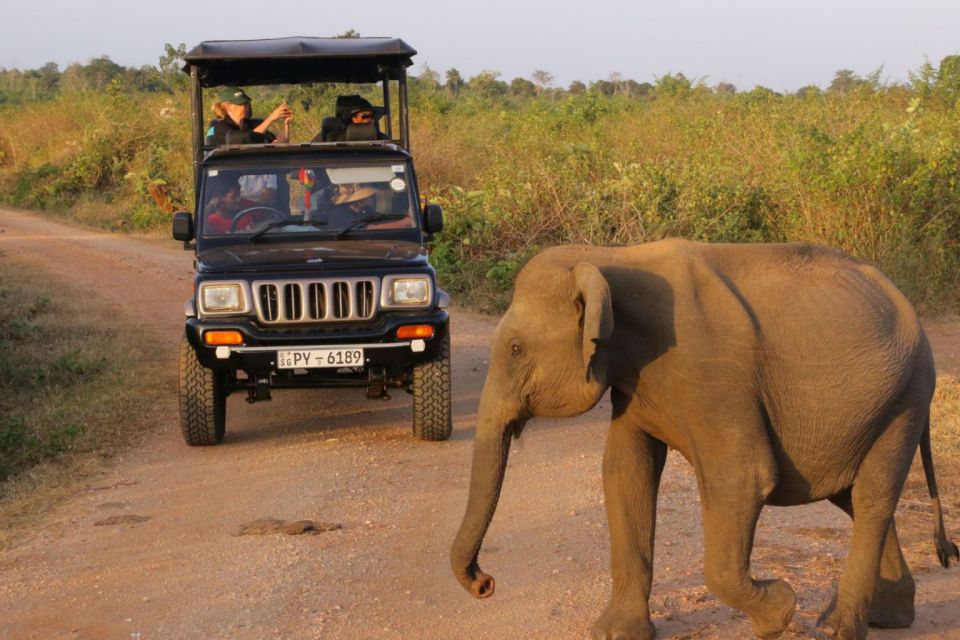 Sri Lanka: Private Yala National Park Safari Trip - Getting to the Safari