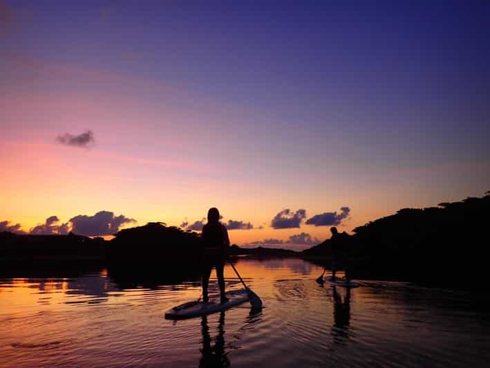 Stand Up Paddleboard: Amazing Sunrise at Mangrove River - Meeting Point Details