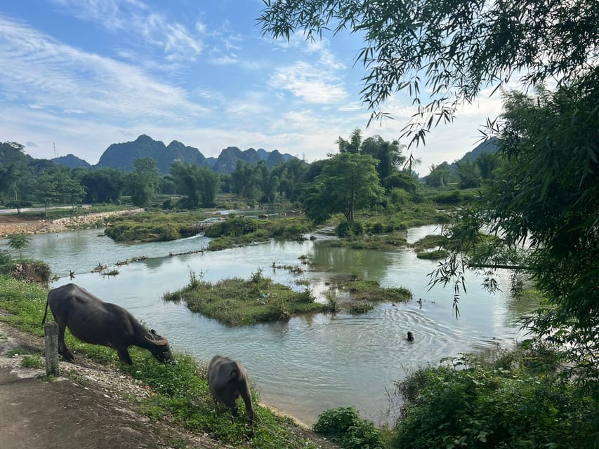 Standard Ha Giang Loop 4D3N Private Tour - About the Motorbike