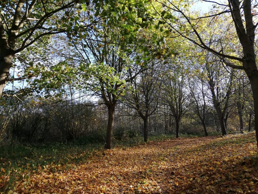 Sternberg: Guided Running Tour (Jogging) - Live Tour Guide