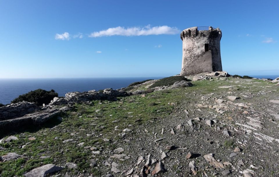 Stintino: Trekking Tour in Capo Falcone - Meeting Point Directions